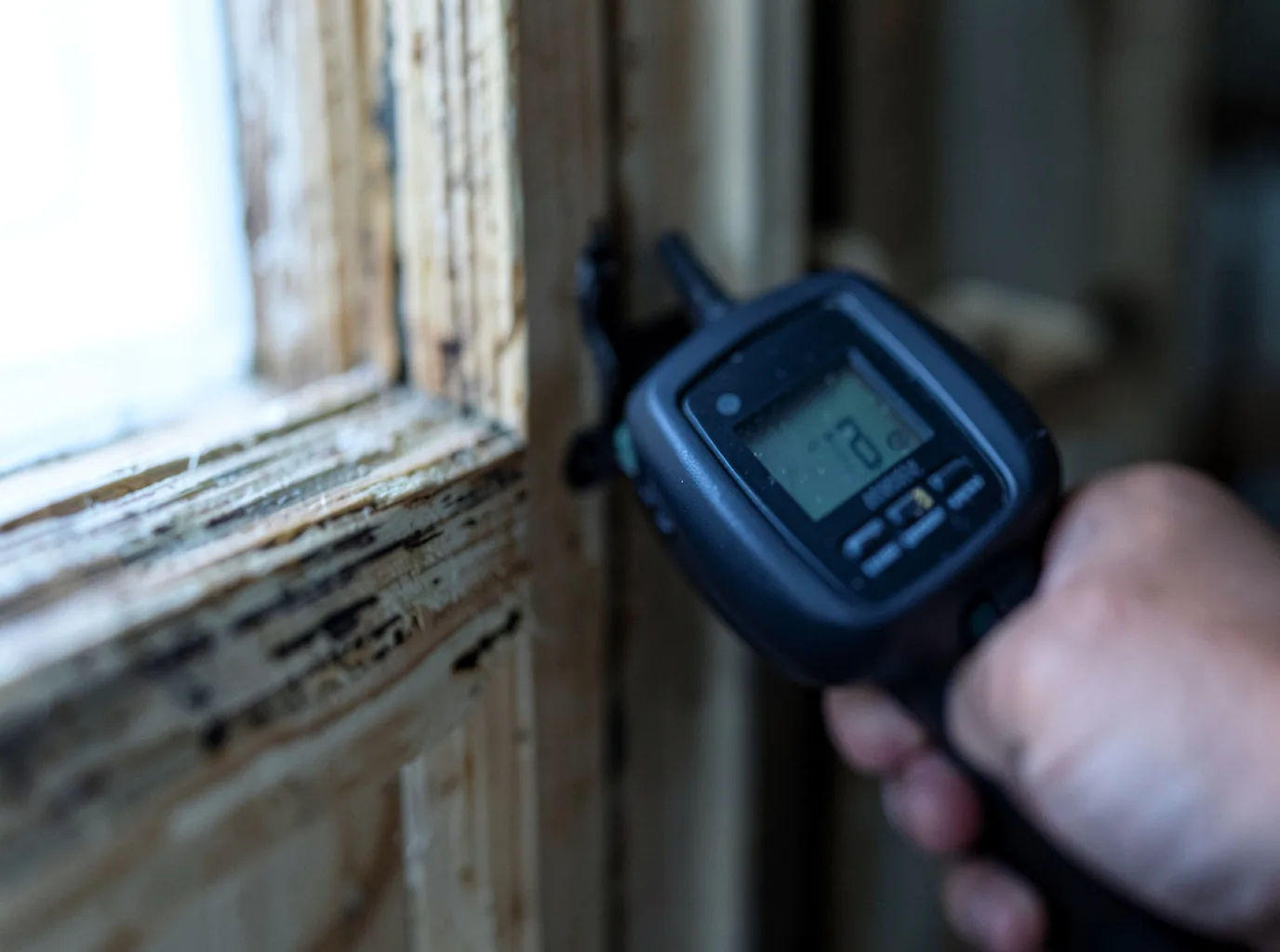 Commercial Water Damage Restoration in Lexington, MI